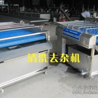 草莓清洗機(jī)