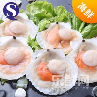 半殼扇貝王單凍大扇貝1包1000g 水產(chǎn)燒烤野炊必備超大扇貝 海鮮貝
