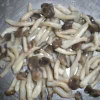 供應鹽漬姬菇