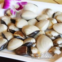 供應正宗優質沙白貝