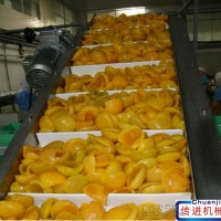 果脯輸送機