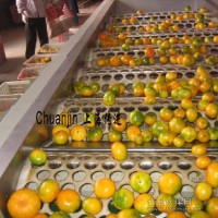 橘子加工自動分級非標輸送設備