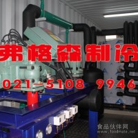 弗格森大型片冰機