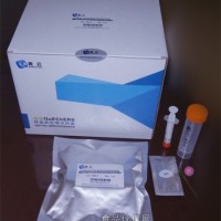 農(nóng)藥殘留、獸藥殘留檢測(cè)高效QuEChERS試劑盒