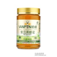 安徽天柱山特產(chǎn) 廠家直銷(xiāo)紫云英蜂蜜900g [紅花草]女士營(yíng)養(yǎng)品