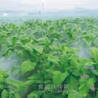 彌霧機效果，農用彌霧機，彌霧機批發