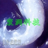 環(huán)潤(rùn)科技陶磁閥芯潤(rùn)滑脂
