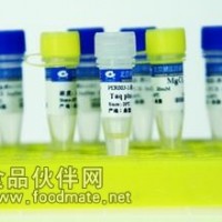 Taq Plus DNA Polymerase