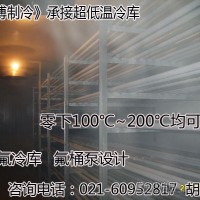 上海超低溫冷庫安裝  零下100℃-200℃冷庫造價 【昊博制冷】