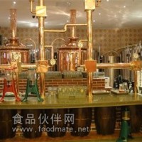金漢森現(xiàn)貨批量供應(yīng)自釀啤酒設(shè)備