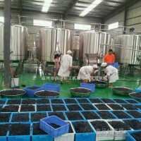 藍莓汁飲料生產線