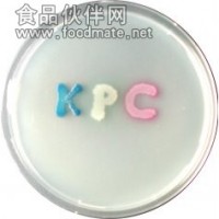 科瑪嘉KPC培養基
