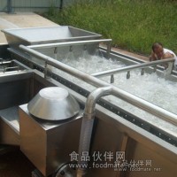 氣泡翻浪清洗機  果蔬清洗設備 葉類蔬菜清洗設備  蘋果清洗機