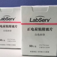 Labserv正電荷粘附載玻片，75x25mm，50片/盒
