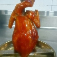 棟企雞培訓