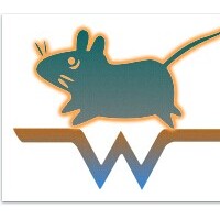 條件性恐懼實驗視頻分析軟件