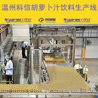 成套胡蘿卜汁飲料生產線設備 小型胡蘿卜深加工設備廠家
