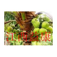 供應(yīng)精煉食品級(jí) 椰油  椰子油  氫化椰子油