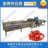 大棗清洗機 紅棗清洗機 新疆大棗清洗機