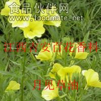 廠家供應精煉食品級 月見草油