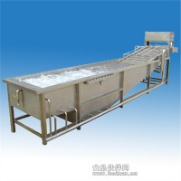 供應氣泡蔬菜清洗機