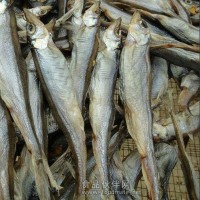 洪湖【綠葉】水產魚干生產銷售廠家 新鮮魚干 品種全價格優(yōu)