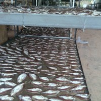洪湖刁子魚干加工銷售 開被陽干魚干