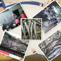 配方魚干廠家 洪湖魚干生產批發(fā)基地 休閑魚廠家供貨商