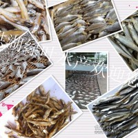 實力廠家銷售小貢魚干 油炸小魚干 火培小魚干