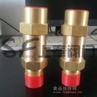 SFA-22C-300T冷凍機安全閥