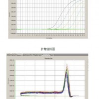 實時熒光定量PCR技術服務