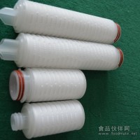 聚丙烯折疊濾芯廠家 折疊濾芯價格