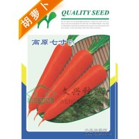 胡蘿卜種子-美國高原七寸胡蘿卜種子