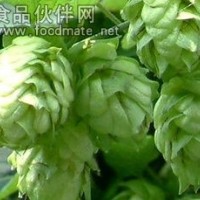 啤酒花提取物（啤酒花黃酮4%）
