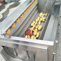 全自動毛輥清洗機 不銹鋼大姜清洗去泥機潤鼎生產