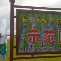 5KG 的內抽真空弱堿大米