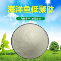 海洋魚低聚肽 膠原蛋白肽 國豪供應(yīng)魚膠原蛋白肽