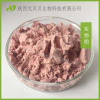 櫻桃汁粉壹貝子SC實力工廠現貨供應批發櫻桃提取物櫻桃粉