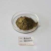 藤茶提取物—專業生產優質供應