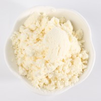 酸奶粉 曲奇面包蛋糕壓片糖巧克力原料粉鮮奶發(fā)酵無糖酸奶粉