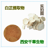 白芷提取物藥食同源 廠家生產(chǎn)植物提取物定做濃縮浸膏