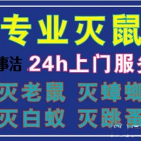 白蟻防治中心電話，幾十年除蟲經驗
