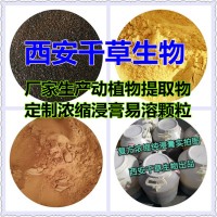 翻白草提取物 翻白草濃縮粉 廠家生產提取物 定做雞腳流浸膏