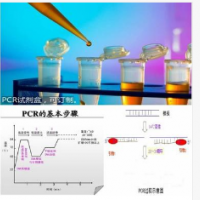 轉基因大豆玉米水稻棉花土豆小麥番茄轉基因檢測試劑盒