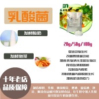 乳酸菌東北泡菜發(fā)酵菌粉酸奶乳制品用菌種廠家直銷