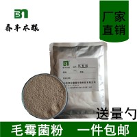 家用釀造毛霉菌粉紅豆腐毛豆腐豆渣豆腐乳霉千張臭豆腐腐乳曲