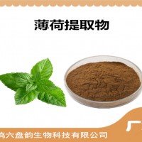 薄荷提取物 薄荷粉 植物提取物