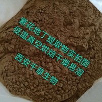 紫花地丁提取物 易溶 廠家生產植物提取物 純浸膏顆粒