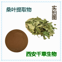 冬桑葉提取物 廠家專業生產植物提取物定做濃縮流浸膏
