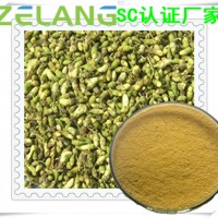 槐米粉，槐米速溶粉